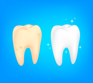 Beyond the Bite – The Official Blog of the Florida Dental Association